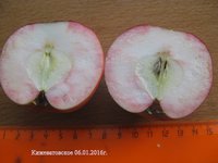 Кижеватовское