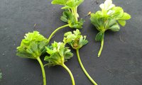 IMAG0588.jpg