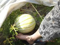 яDSCF6676.jpg