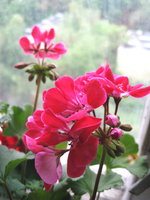 IMG_8361.jpg