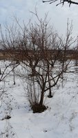 P1090005.JPG