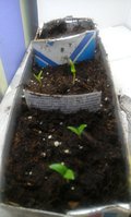 20160116_220656.jpg