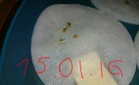 _20160117_194950.JPG