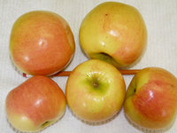 Prairie%20Sensation300x225.jpg