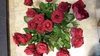 2015-10-22 21.20.18.jpg