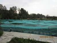 IMG_0713.JPG