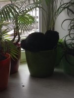 image.jpeg