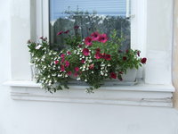 DSCF5549.JPG