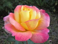 IMG_8843 (2).JPG