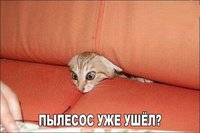 M8v8SgF9AHU.jpg