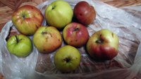 IMG_20160128_194331.jpg