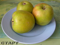 Старт