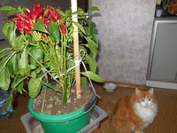 DSCN0282.JPG