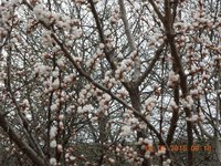 DSCN3450.JPG