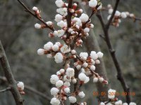 DSCN3451.JPG