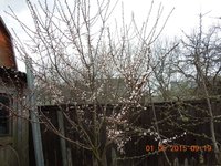 DSCN3452.JPG