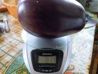 DSCN0434.JPG