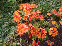 20130529_092323.jpg