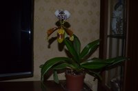 DSC_0003.JPG