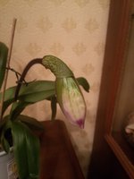 20160204_210222.jpg