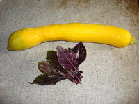 DSC00516.JPG