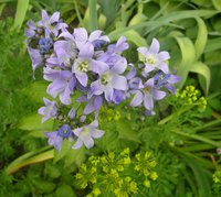 P1010200.JPG