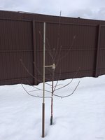 IMG_3589.JPG