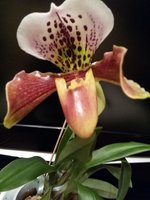 20160215_203759.jpg