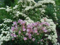 image (13).jpg