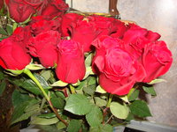 DSC00591.JPG