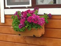 20150720_145024.jpg