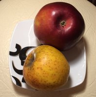 IMG_3642.JPG