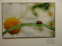 IMG_0358.jpg
