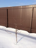 IMG_3650.JPG