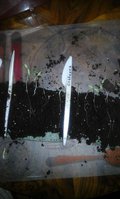 20160225_111856.jpg