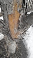 2016227141838.jpg