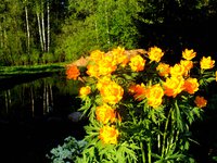 DSC03123.jpg