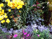 DSC00008.JPG