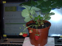 DSCN4626.JPG