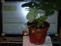 DSCN4624.JPG