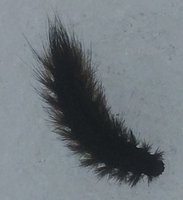 IMG_3680.jpg
