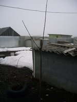 итальянка.jpg
