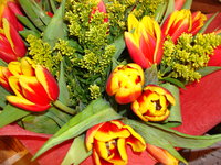 DSC08040.JPG