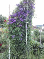 2015-07-09 17-23-50.JPG