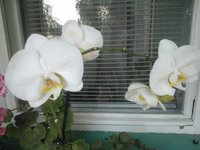 2015-07-01 20-23-49.JPG