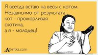 весы с котом.jpg