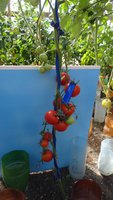 DSC04037-01.jpg