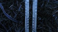 DSC01956-01.jpg