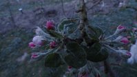 DSC01957-01.jpg