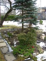 IMG_0044-1.jpg